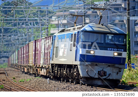 東海道本線、真鶴、JR 貨運、EF210-119（新鶴見） 135525690