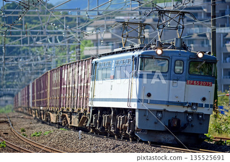 Tokaido Main Line, Manazuru, JR Freight, EF65-2075 (Shin-Tsurumi) 135525691