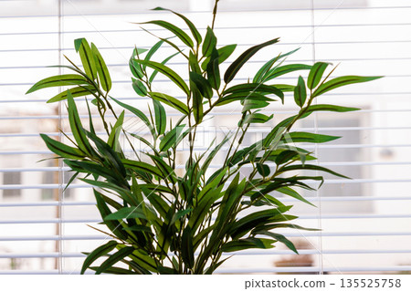 Close up of artificial houseplant in front of window blinds in daylight 135525758