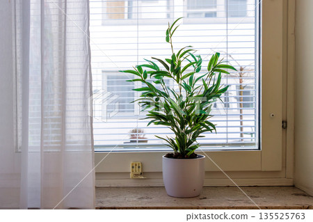 Artificial potted green plant on windowsill with blinds and curtain in daylight 135525763