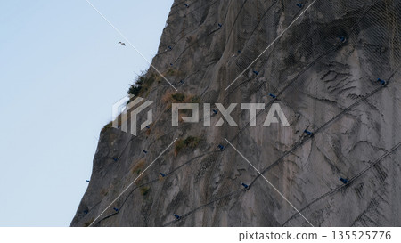 A low-angle detailed view of a steep rocky cliff face reinforced with a heavy-duty steel wire mesh netting designed to prevent rockfalls and landslides. A low-angle detailed view of a steep rocky cliff face reinforced with a heavy-duty steel wire mesh netting designed to prevent rockfalls and landslides. 135525776