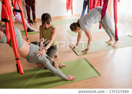 Women practicing aerial yoga with instructor guidance, vinyasa class Women practicing aerial yoga with instructor guidance, vinyasa class 135525888