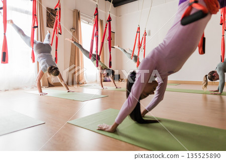 Women practicing aerial vinyasa yoga during a studio class Women practicing aerial vinyasa yoga during a studio class 135525890
