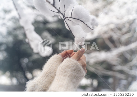 冬日的雙手輕輕撫摸著雪① 冬日的雙手輕輕撫摸著雪① 135526230