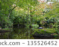 Image of a Japanese garden 135526452