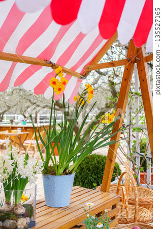 Spring garden flowers in pots under striped canopy at cozy outdoor wooden table in flower shop Spring garden flowers in pots under striped canopy at cozy outdoor wooden table in flower shop 135527165