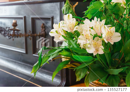 White alstroemeria, peruvian lily flowers bouquet on vintage piano with dark wooden background White alstroemeria, peruvian lily flowers bouquet on vintage piano with dark wooden background 135527177