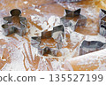 Baking gingerbread cookie cutters, wooden rolling pin, and flour are messily spread on kitchen table 135527199