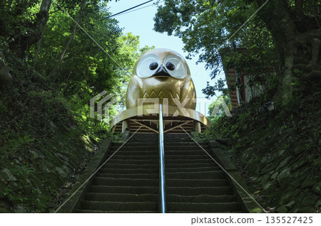 栃木縣鷲尾山神社的大貓頭鷹 135527425
