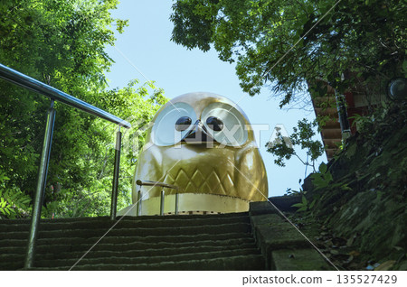 栃木縣鷲尾山神社的大貓頭鷹 135527429