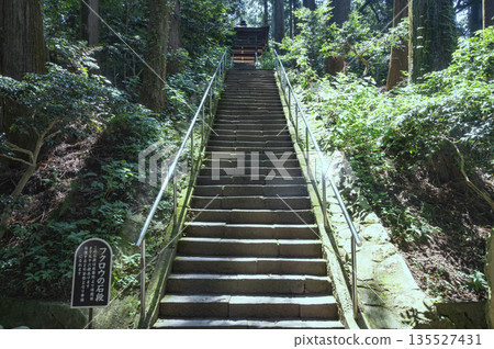 栃木鷲山上神社貓頭鷹石階 栃木鷲山上神社貓頭鷹石階 135527431