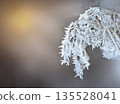 Frost-covered branch in winter. Delicate ice crystals cling to the twigs, creating a serene and cold atmosphere.  135528041