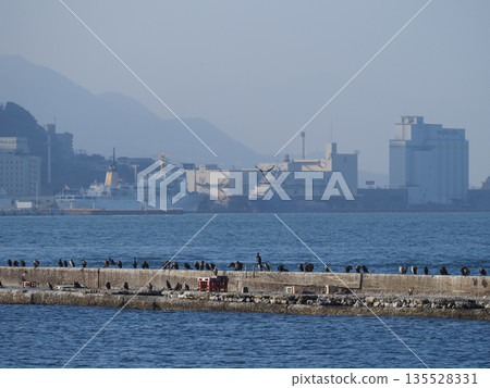 鸕鶿在河岸上排成一排 鸕鶿在河岸上排成一排 135528331