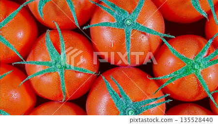 Bright Ripe Tomatoes With Dewdrops Displayed, Closeup Of Shiny Red Tomatoes With Vibrant Natural Glow Bright Ripe Tomatoes With Dewdrops Displayed, Closeup Of Shiny Red Tomatoes With Vibrant Natural Glow 135528440