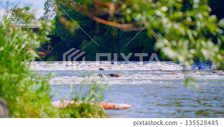 Serene River Meandering Through Illuminated Banks With Scattered Stones And Overhanging Branches Serene River Meandering Through Illuminated Banks With Scattered Stones And Overhanging Branches 135528485