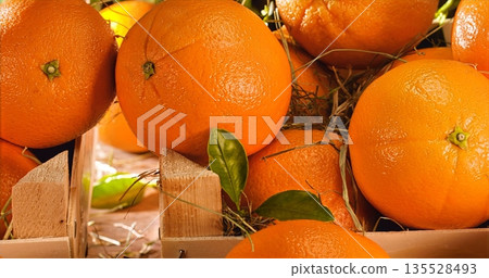 Natural Oranges Showcased In Rustic Packaging, Closeup Of Ripe Oranges Emphasizing Freshness And Quality 135528493