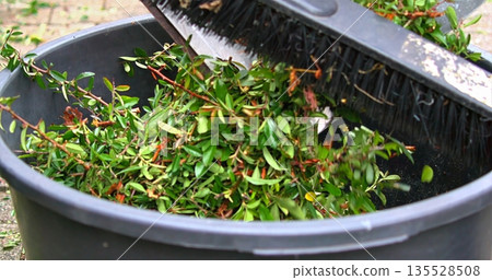 Prepared Compost Bin With Broom, Scene Showing Arranged Garden Refuse In Container With Cleaning Tools Prepared Compost Bin With Broom, Scene Showing Arranged Garden Refuse In Container With Cleaning Tools 135528508