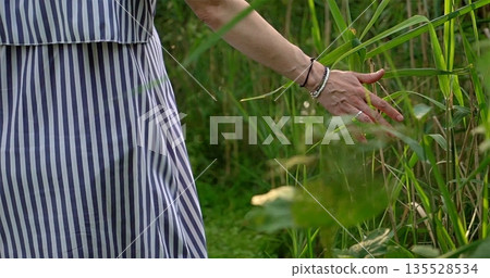 Gentle Afternoon Meadow Experience, Relaxing Outdoor Scene With Flowing Grass And Sunlight Reflections 135528534