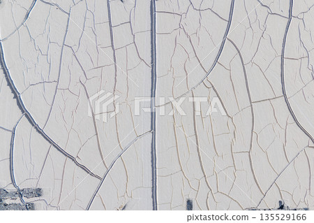 Cracked white paint texture (old painted background material) Cracked white paint texture (old painted background material) 135529166