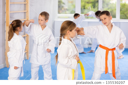 Karate kids in kimono sparring together during their group karate training in gym Karate kids in kimono sparring together during their group karate training in gym 135530207