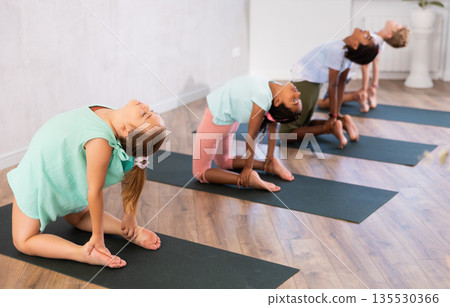 Group of preteen children practicing yoga lesson at sport club Group of preteen children practicing yoga lesson at sport club 135530366