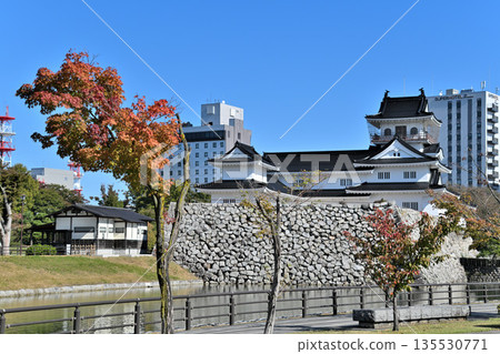 Toyama Castle in Etchu Province: The castle tower, moat, and stone walls on a clear day 135530771