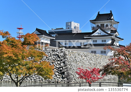 越中國富山城:晴朗天氣下的城堡天守閣、護城河和石牆 越中國富山城:晴朗天氣下的城堡天守閣、護城河和石牆 135530774