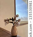 A small cherry blossom in a vase (April) 135530981