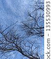 冬日的藍天，白雲，枝椏 135530993