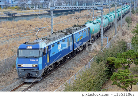 Tokaido Main Line Higashi-Takashima-Sakuragicho JR Freight EH200-19 (Takasaki) 135531062