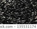 水面形成的自然圖案 135531174
