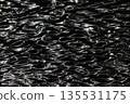 水面形成的自然圖案 135531175