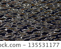 水面形成的自然圖案 135531177