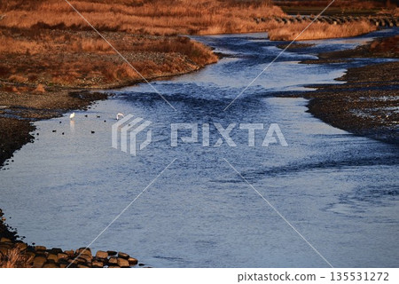 Sakawa River: A beautiful river that flows from the foot of Mount Fuji into Sagami Bay in Odawara City Sakawa River: A beautiful river that flows from the foot of Mount Fuji into Sagami Bay in Odawara City 135531272
