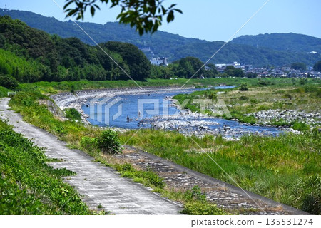 佐川：一條美麗的河流，發源於富士山腳，最後流入小田原市相模灣。 135531274