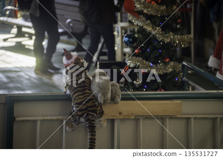 Stuffed animals seeing off Stuffed animals seeing off 135531727
