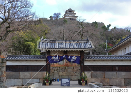 Marugame Castle's Honmaru and Otemon Gate (New Year's) 135532023