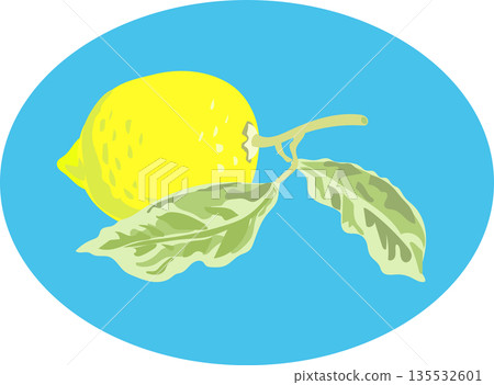 檸檬設計插圖 135532601