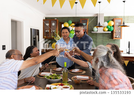 Senior friends toasting with wine glasses at home during festive party 135533193