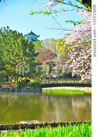 愛知縣名城公園和名古屋城的春景 愛知縣名城公園和名古屋城的春景 135533600