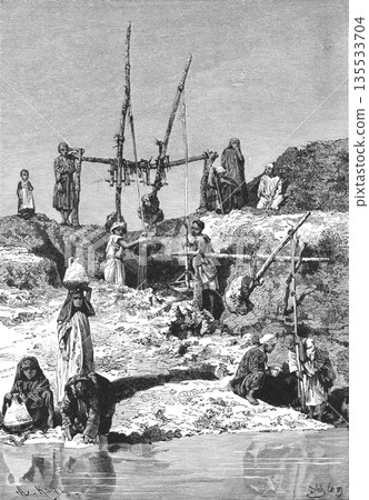 19th century illustration of the banks of the Nile River, Africa 19th century illustration of the banks of the Nile River, Africa 135533704