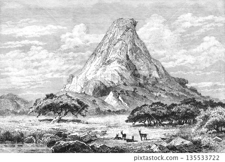 Jebel Hafeet 繪製的 19 世紀非洲插畫 135533722