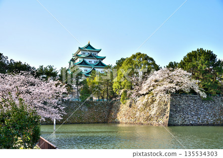 【愛知縣】名古屋城和春天盛開的櫻花 135534303