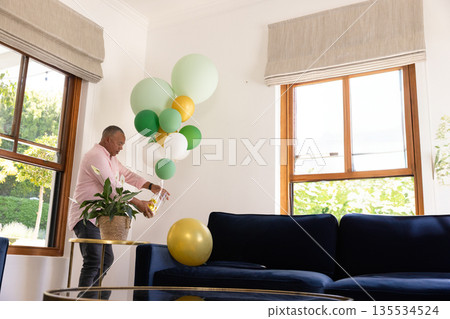 Senior man pouring water onto potted plant in modern living room, with balloon cluster, copy space 135534524