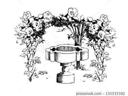 Rose arch and garden fountain monochrome line drawing illustration Rose arch and garden fountain monochrome line drawing illustration 135535392