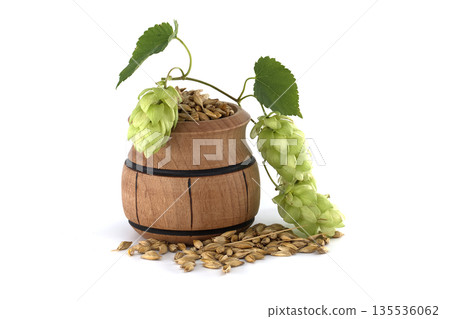 Wooden Barrel with Green Hops and Grain Isolated on White Background 135536062