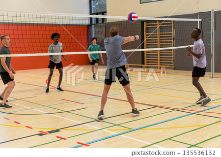 Diverse male teammates in sportswear playing volleyball in gym under net with ball Diverse male teammates in sportswear playing volleyball in gym under net with ball 135536132