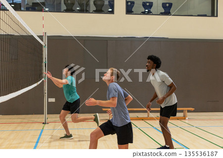 Diverse male volleyball teammates playing on gymnasium court with net, court lines and bench 135536187