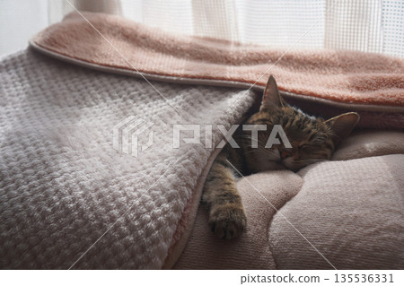 沉睡的鬼虎 135536331