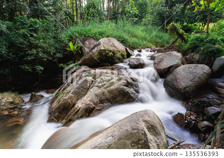 Serene Stream Flowing Over Smooth Rocks Surrounded by Lush Green Foliage in a Tranquil Forest Environment Ideal for Nature Photography 135536393